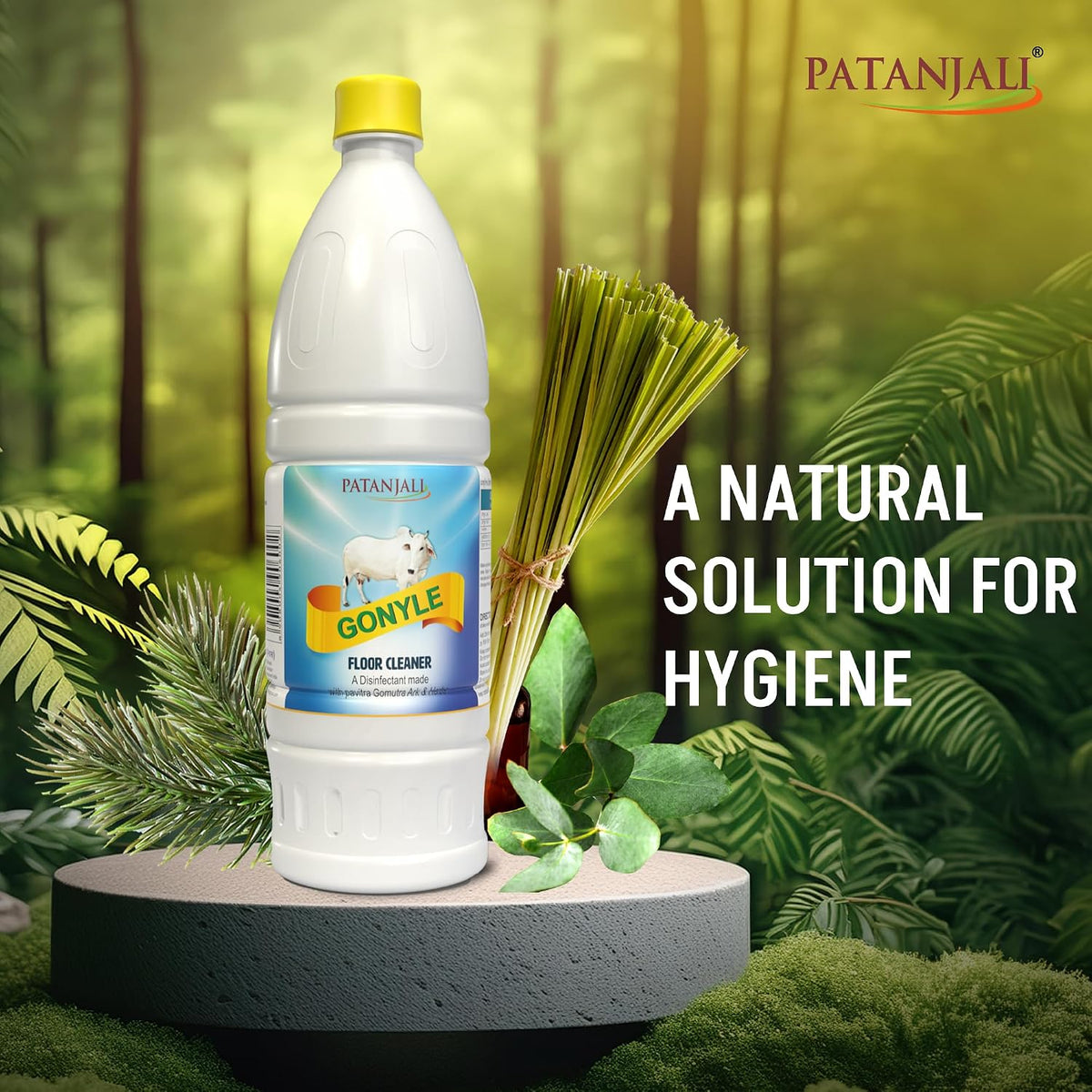 Patanjali Gonyle Floor Cleaner 1L 1 l (Pack of 1)
