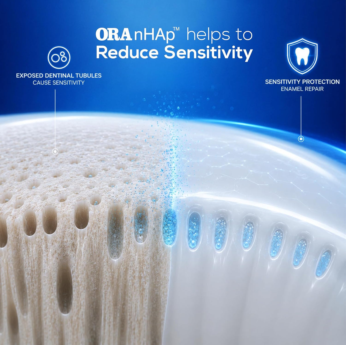 Orasore Whitening Toothpaste 50gm with nHAp | Peroxide-Free | Enamel Remineralizer | Natural Extracts to Reduce Sensitivity, Fight Cavities & Remove Gum Disease
