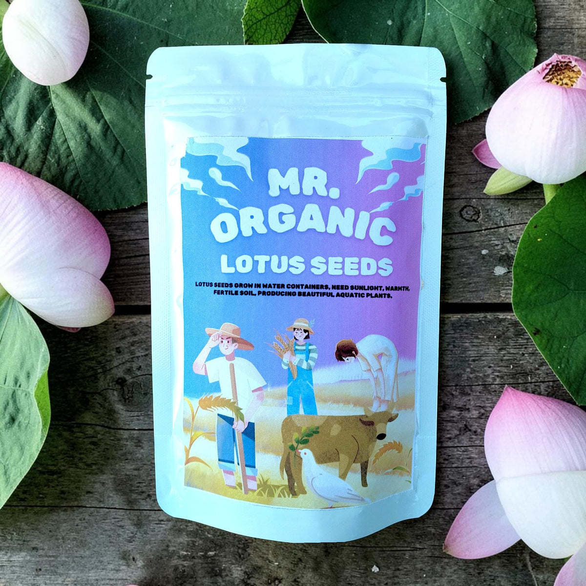 Mr.Organic Lotus Flower Seeds White,Red,Pink (45 To 50 Seeds) 50 Gram | Lotus Seeds for Planting in Home Garden & Ponds | Hybrid Japanese Lotus Flower Seeds | H