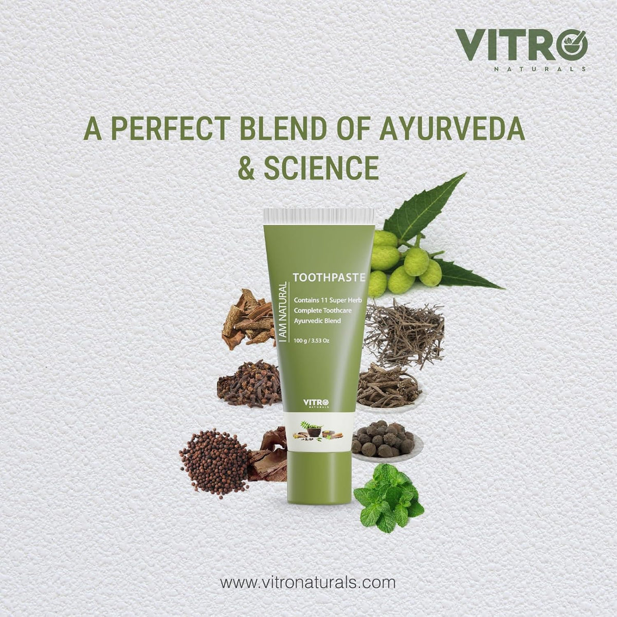 Vitro Ayurvedic Herbal Toothpaste | Fresh Breath That Lasts All Day | With Clove, Cinnamon, Badi Elaichi and more | Fluoride Free | 100g