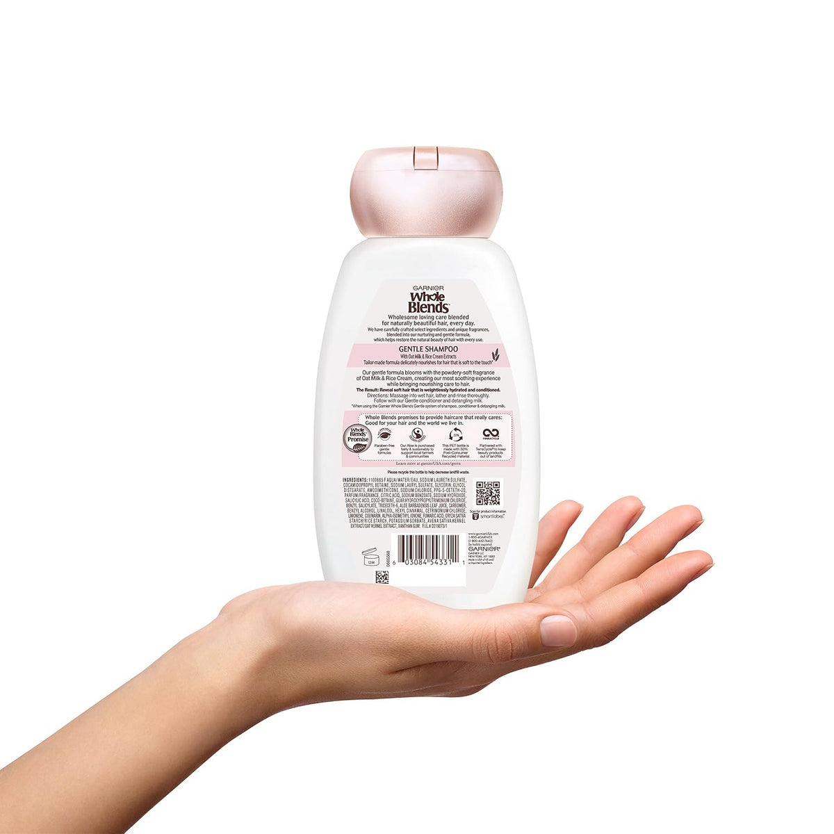 Garnier Whole Blends Gentle Oat Delicacy Shampoo for Sensitive Scalp (12.5 Fl. Oz)