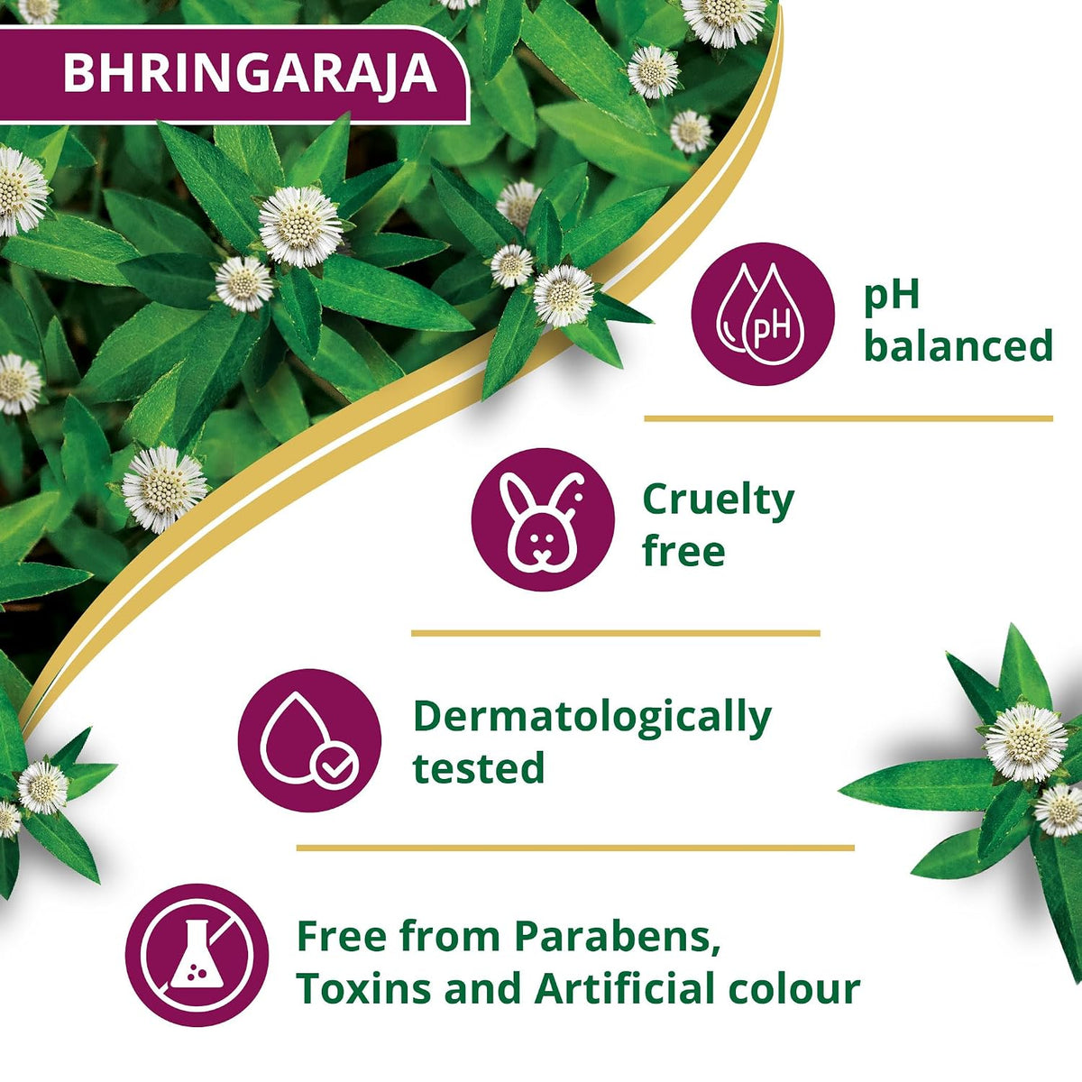 Himalaya Anti-Hair Fall Bhringaraja Shampoo, Reduces Hair Fall, Makes Hair Healthy, With Bhringaraja & Palasha,for men and women, 340ml Anti Hair Fall Shampoo 3