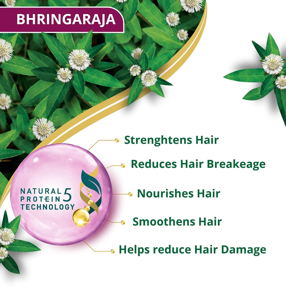 Himalaya Anti-Hair Fall Bhringaraja Shampoo, Reduces Hair Fall, Makes Hair Healthy, With Bhringaraja & Palasha,for men and women, 340ml Anti Hair Fall Shampoo 3