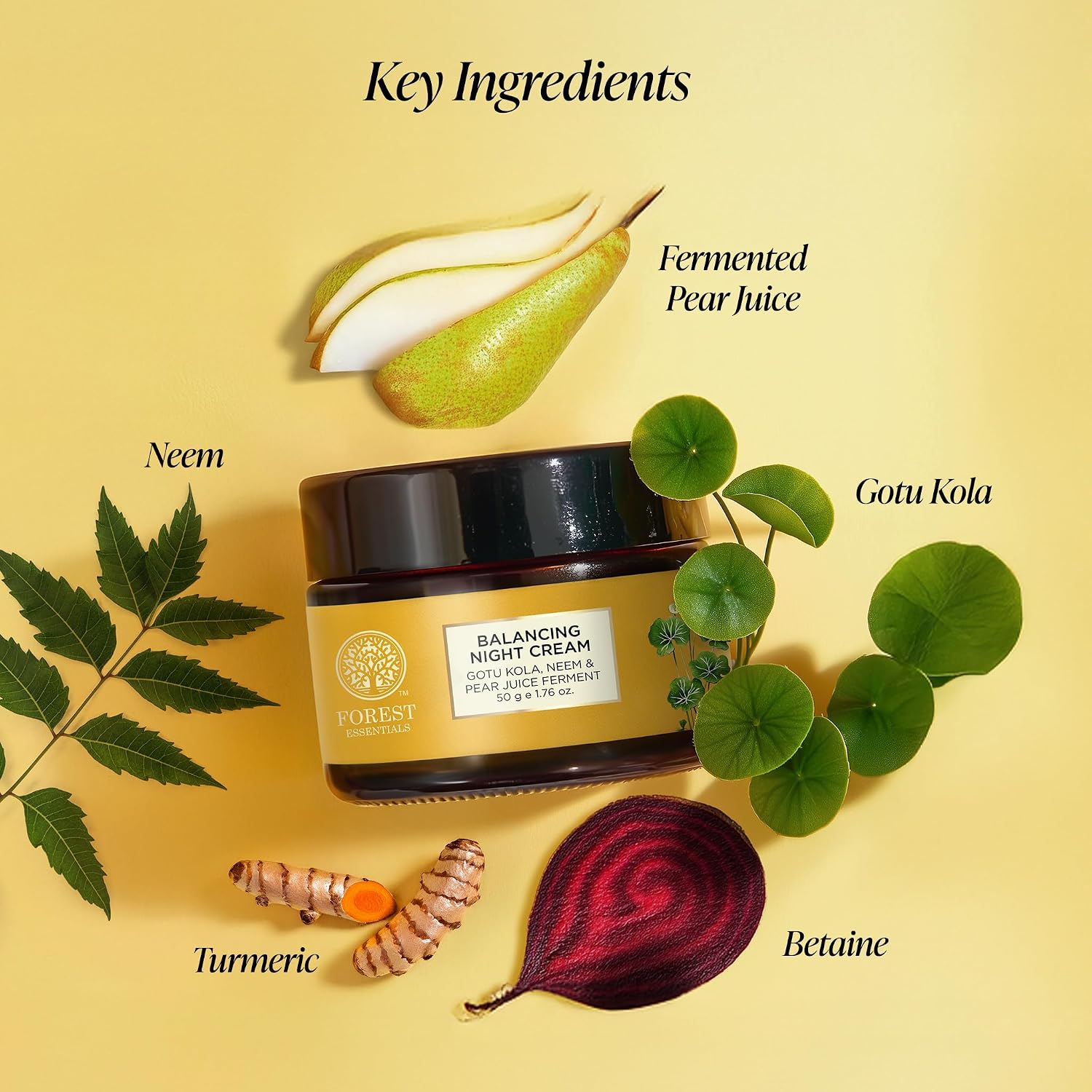 Forest Essentials Balancing Night Cream with Gotu Kola & Neem | Anti-Acne Face Cream | Moisturising | Controls sebum production | Improves skin elasticity