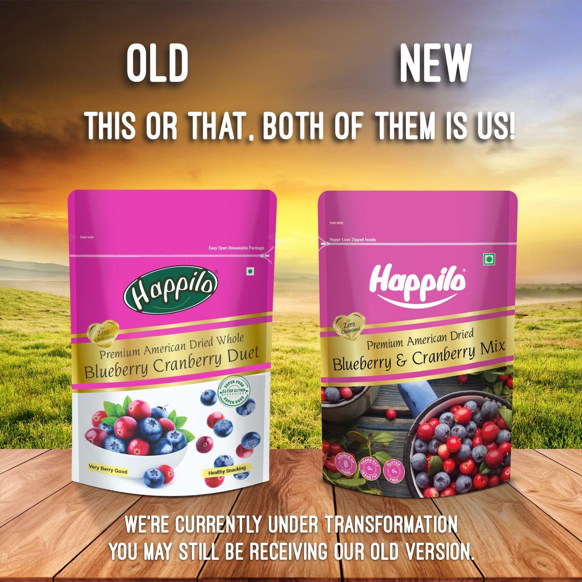 Happilo Premium Dried Blueberry Cranberry Duet 200 grams Pack | Healthy Snacks, Dry fruits|Dried Cranberries & Blueberries Mix | Natural Real Dried Berries | Lo