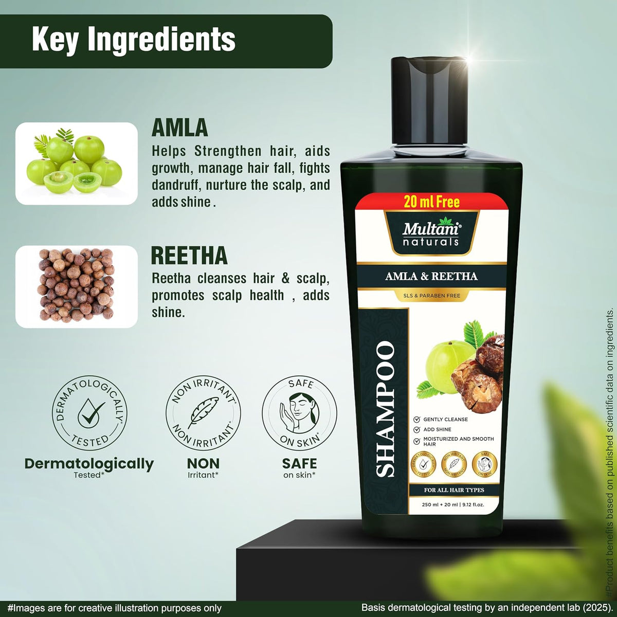 Multani Natural Amla & Reetha Hair Shampoo (270 ml) | Anti-Hair Fall Ayurvedic Shampoo | Dermatologically Tested | Suitable for All Hair Amla & Reetha 270 ml (P