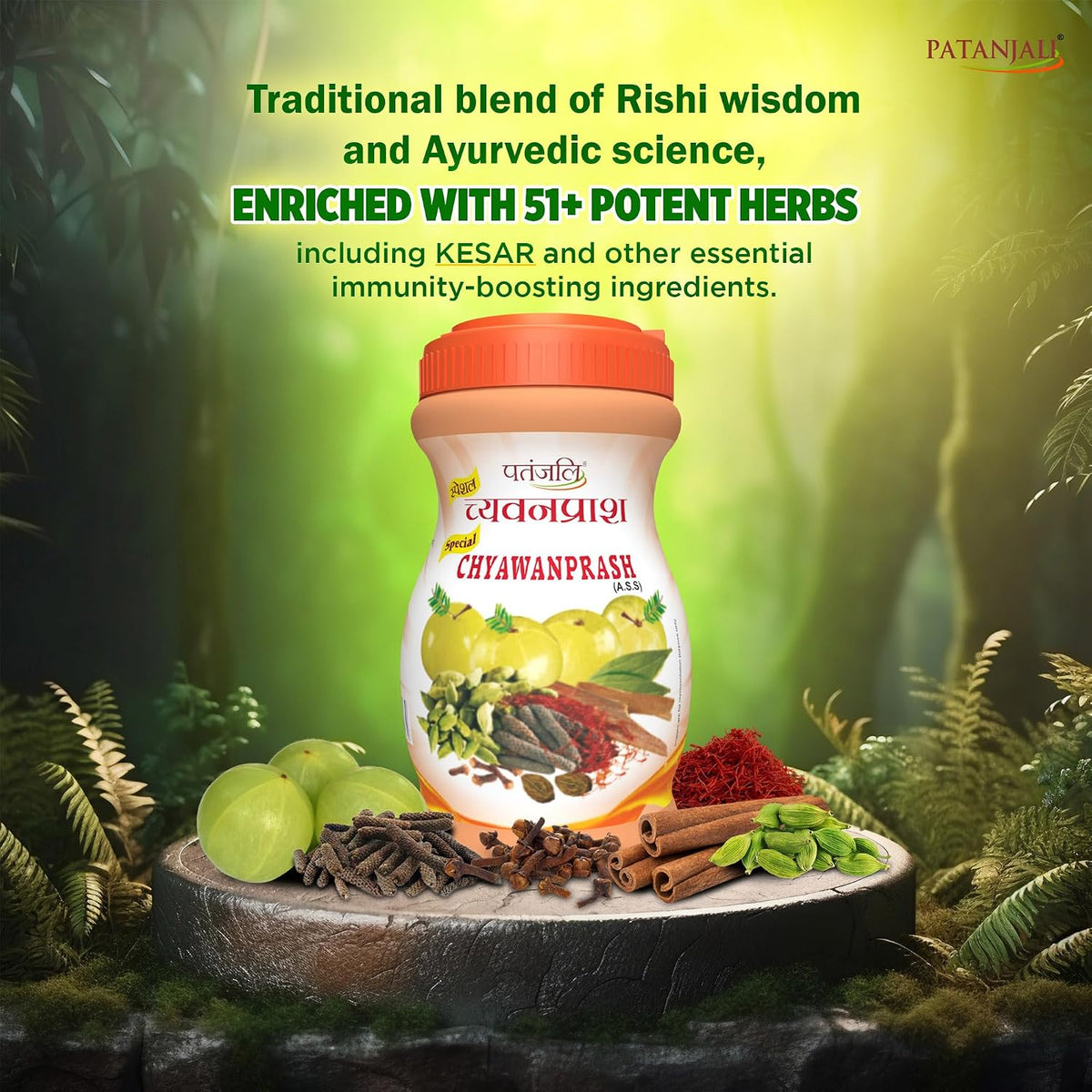Patanjali Special Chyawanprash 500gm Immunity Booster & Ayurvedic Chyavanaprasam For Men, Women & Kids Berry 500 g (Pack of 1)