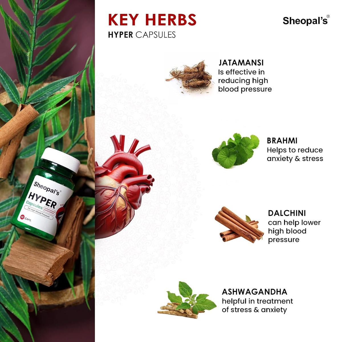 Sheopals Super Combo Herbal Diabdex 30capsule for Blood Sugar & Hyper 60capsule for hypertension