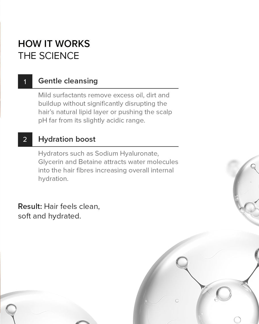 Minimalist Hydrating Factors 7.3% Hair Shampoo (250ml)