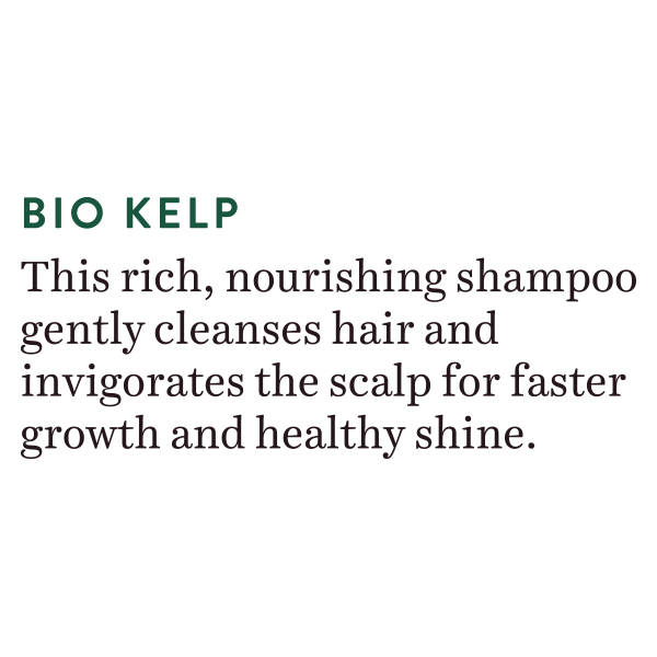 Biotique Ocean Kelp Anti Hair Fall Shampoo