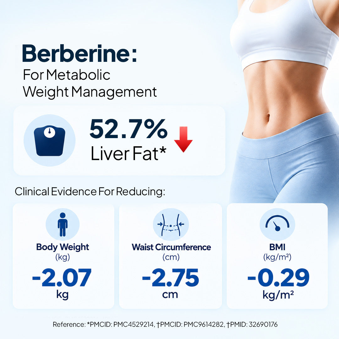 Miduty BERBERINE 98% 60 Capsules