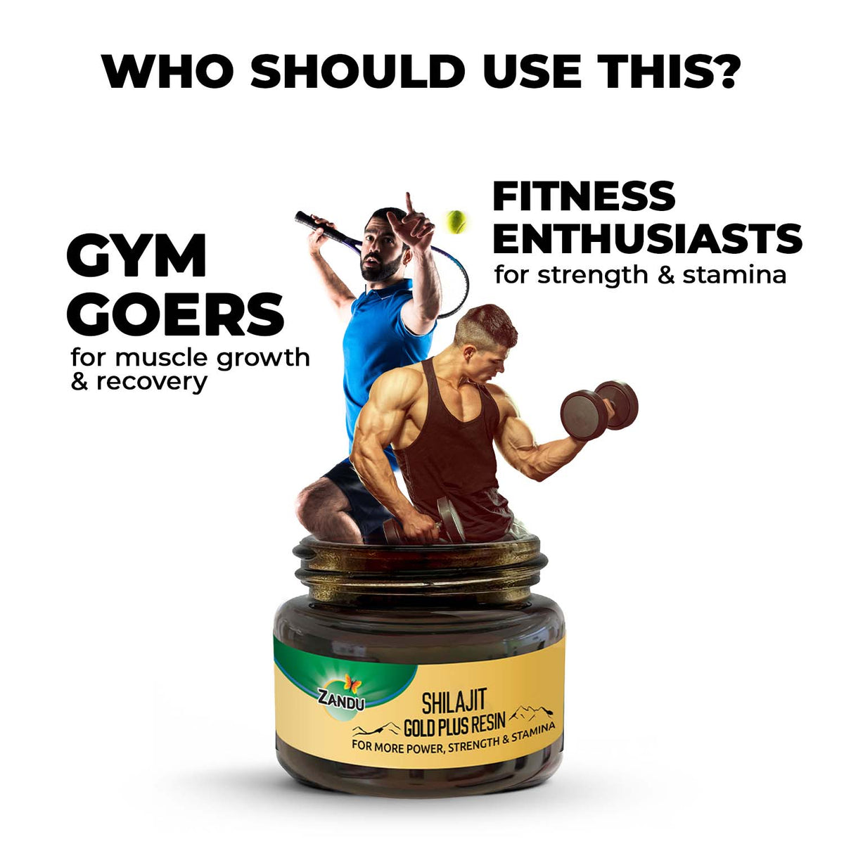 Zandu-P Zandu Shilajit Gold Plus Resin (Pack of 2) 20g X 2U