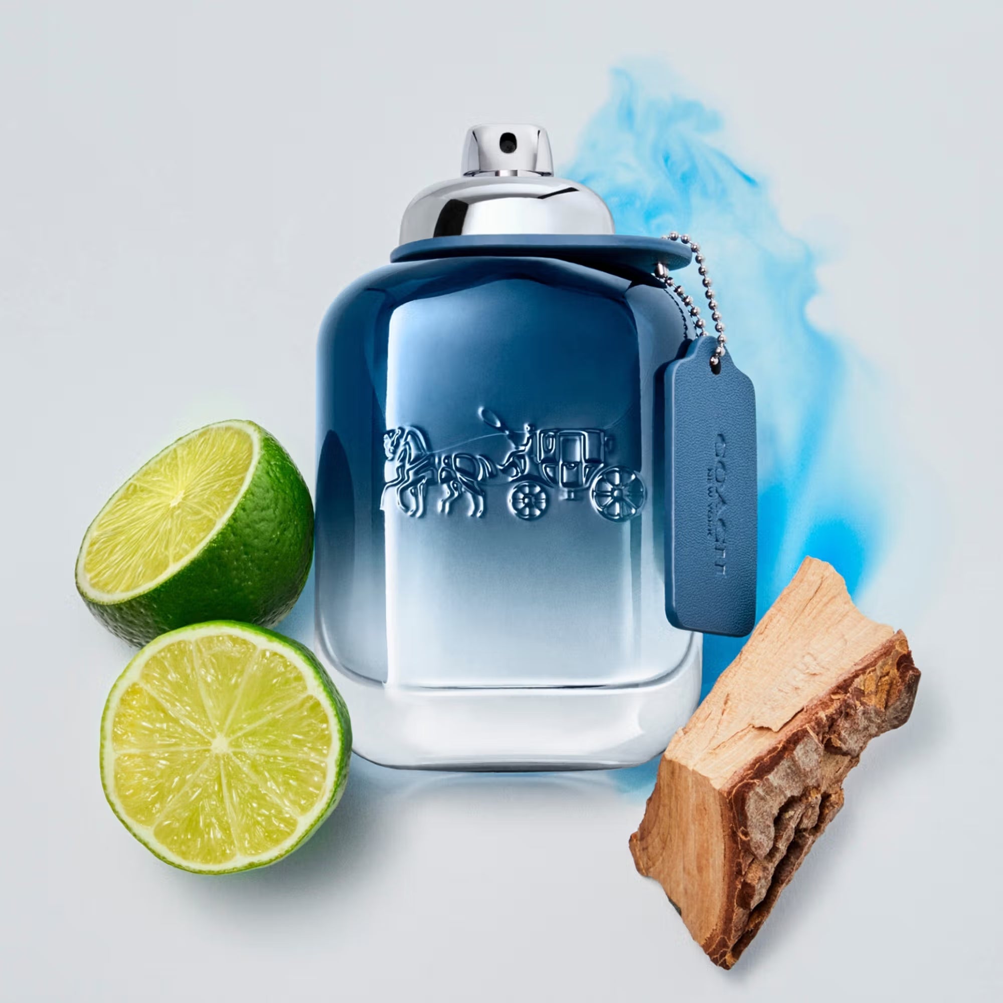 Coach - Blue Eau De Toilette For Men (100ml)