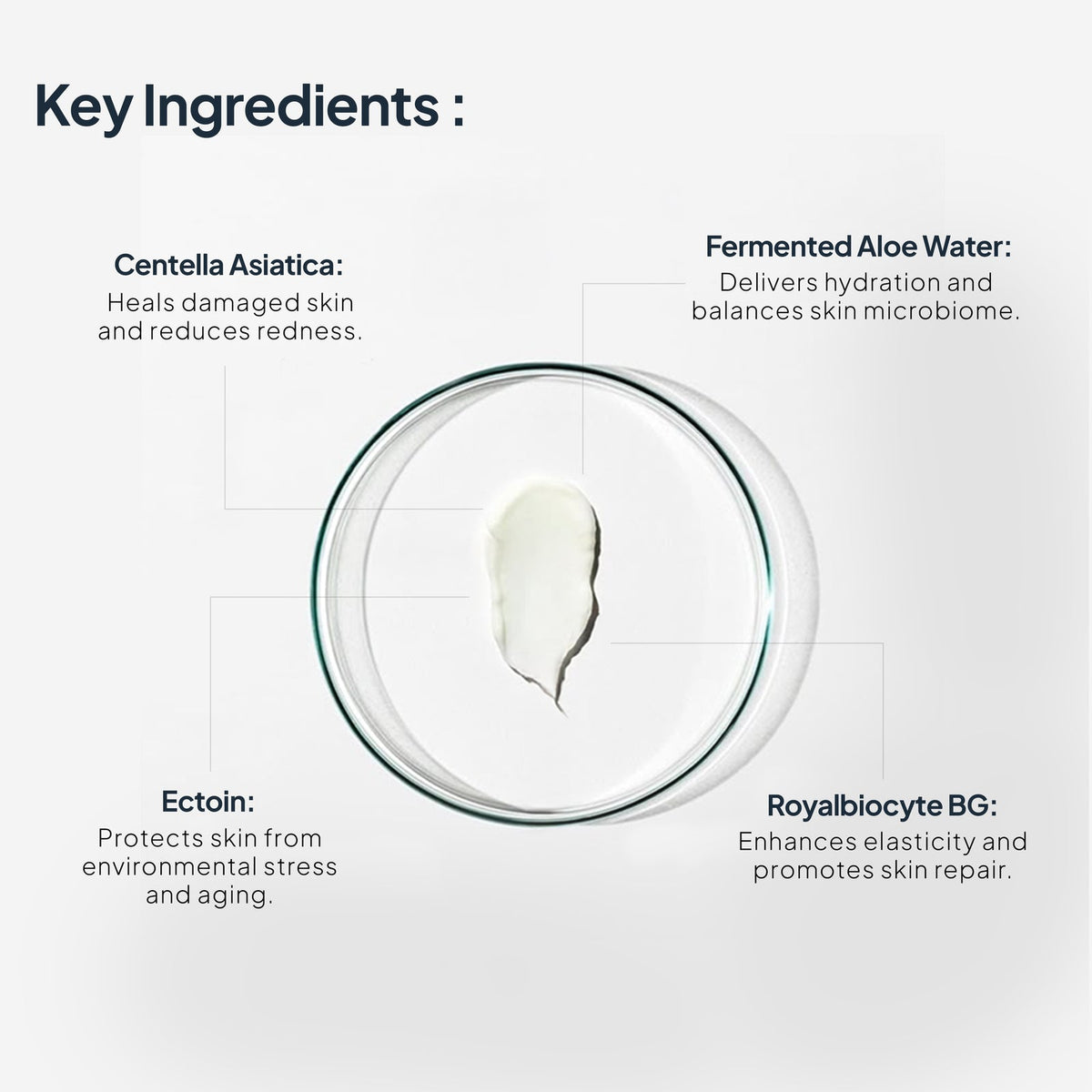 Miduty Intense Repair Night Routine