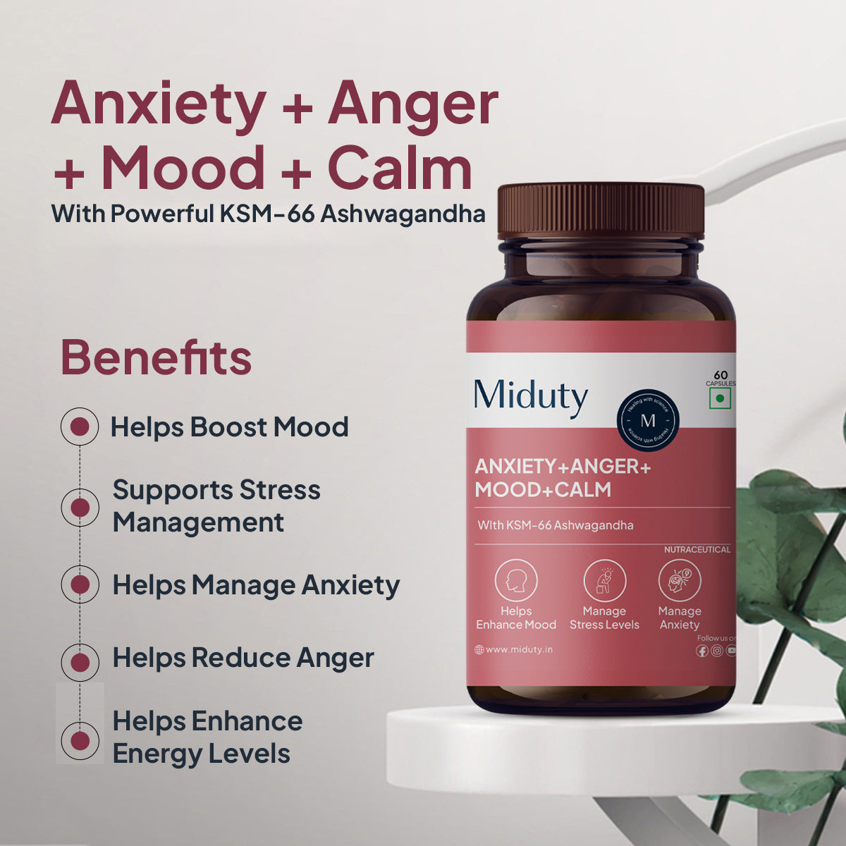 Miduty Anxiety + Anger + Mood + Calm