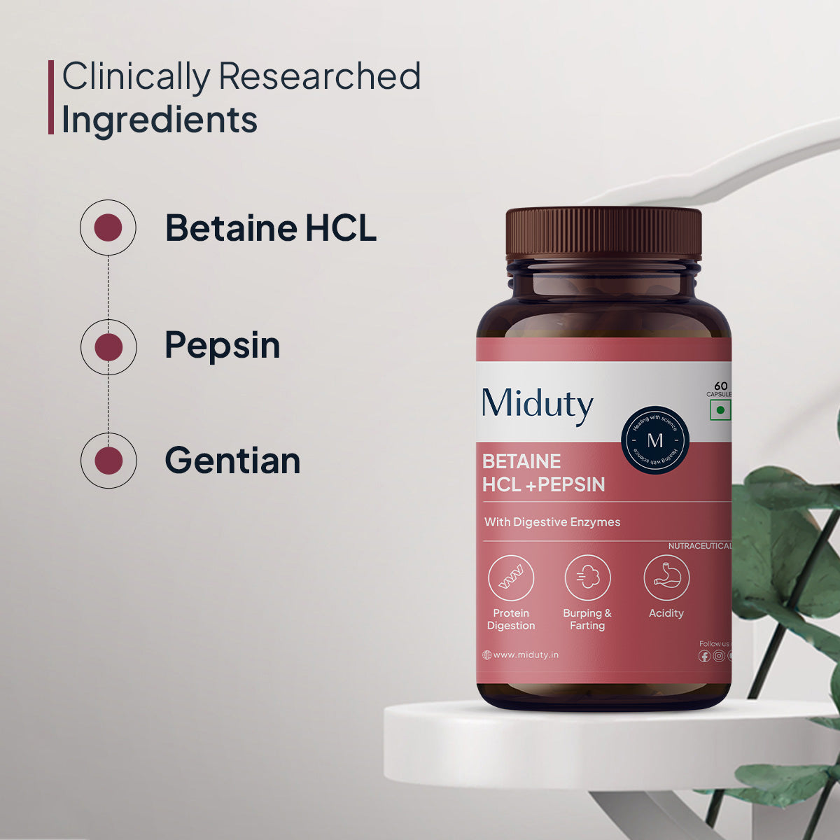 Miduty Betaine HCL + Pepsin