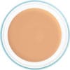Kryolan - DERMACOLOR CAMOUFLAGE CREME (30g)
