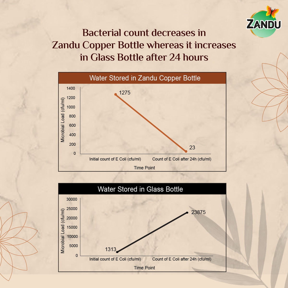 Zandu-O Copper Bottle - Alkalises Water & Kills 99% Microbes Plain Copper (950ml)