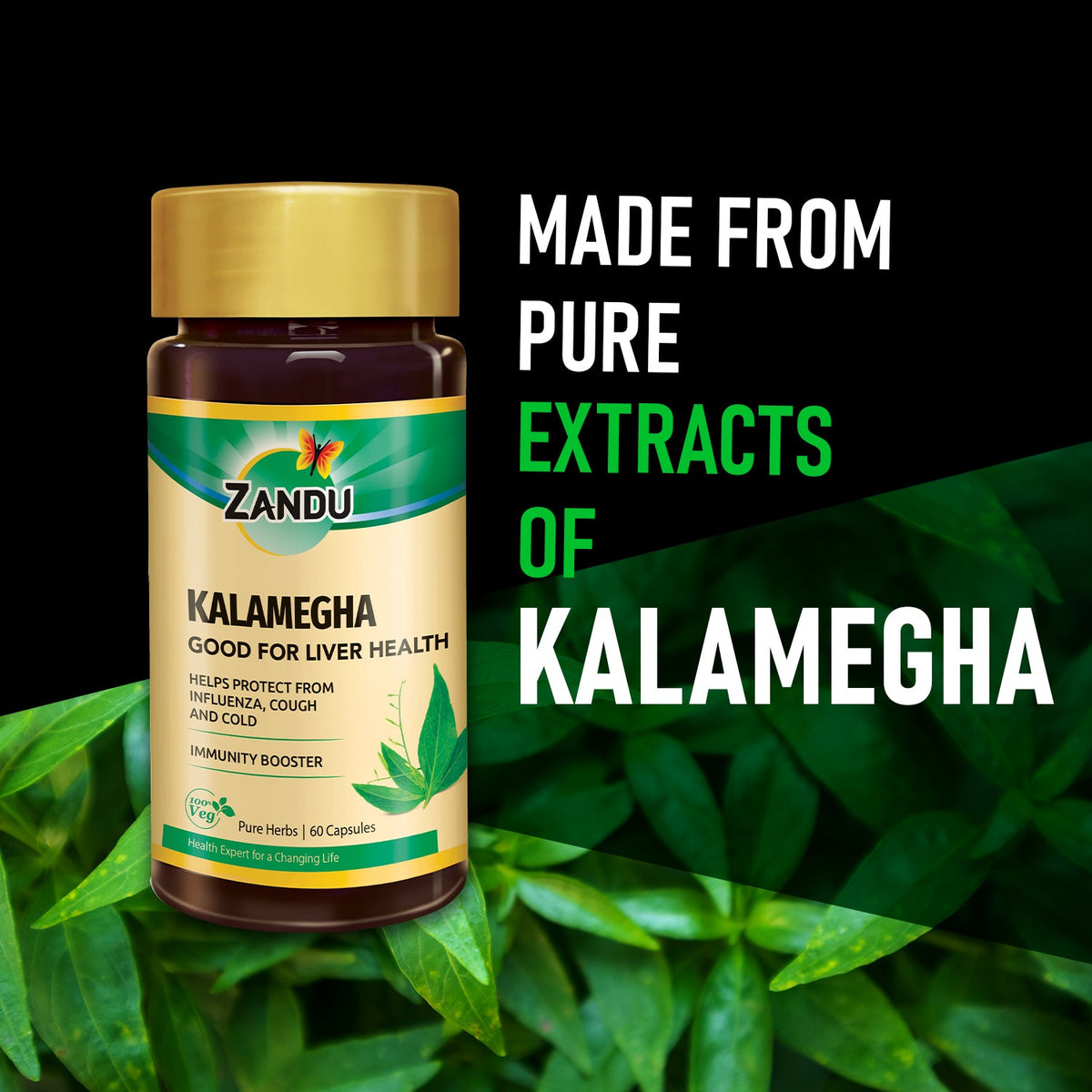 Zandu-O Kalamegha for Liver Bile & Immunity Support 60 N Caps