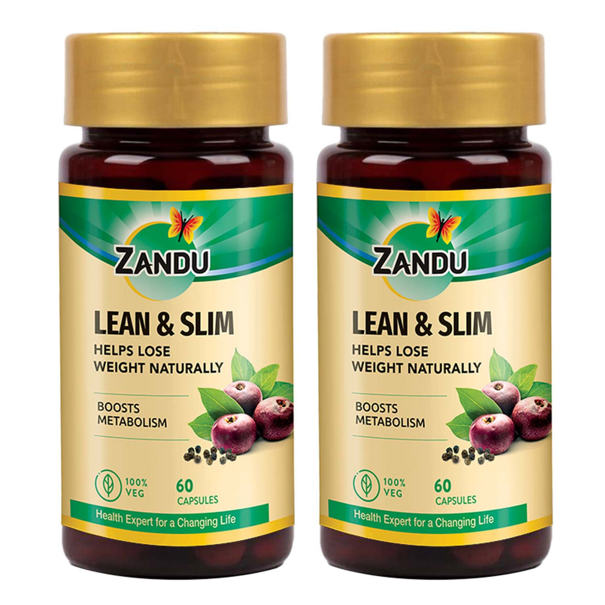 Zanducare-FB Weight Loss & Metabolic Support with Garcinia Combodja 60 N Caps