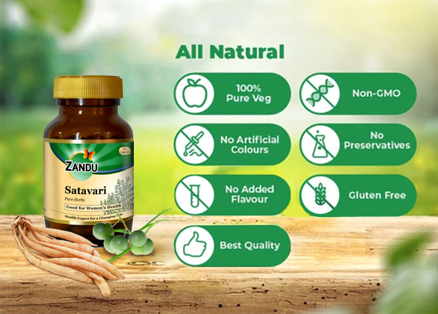 Zanducare-FB Zandu Satavari Lactation Capsules 60 N Caps