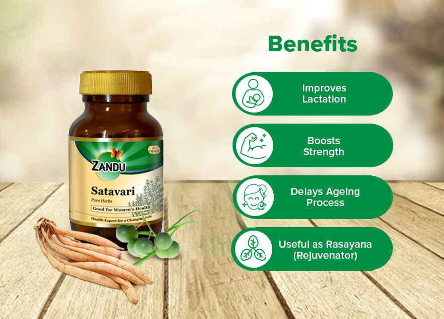 Zanducare-FB Zandu Satavari Lactation Capsules 60 N Caps