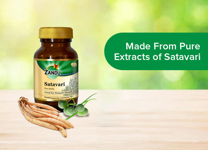 Zanducare-FB Zandu Satavari Lactation Capsules 60 N Caps