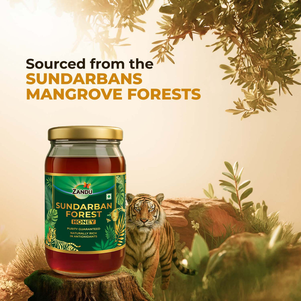 Zandu-O Zandu Sundarban Forest Honey 500g