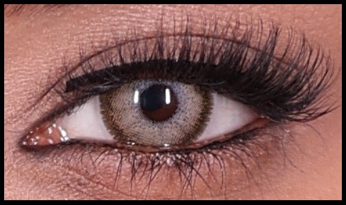 Gouri Cosmetics Premium Color Contact Lenses 5 Pair BRIDAL BROWN