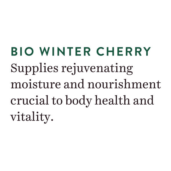 Biotique Winter Cherry Rejuvenating Body Lotion