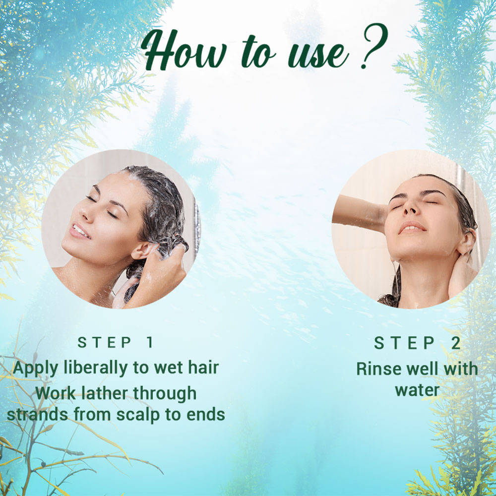 Biotique Ocean Kelp Anti Hair Fall Shampoo