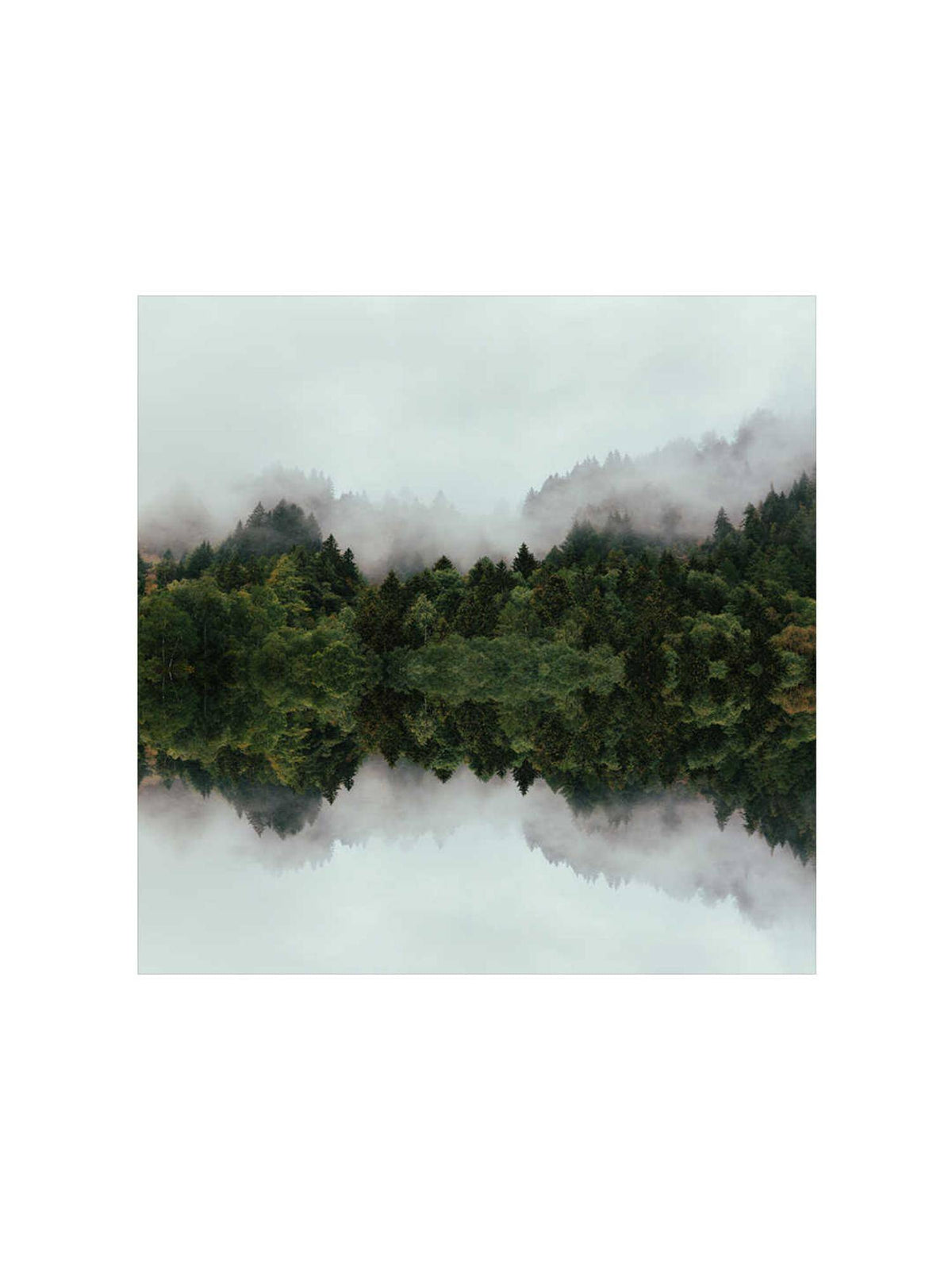 999Store Misty Forest Reflection Canvas-Wrapped Painting