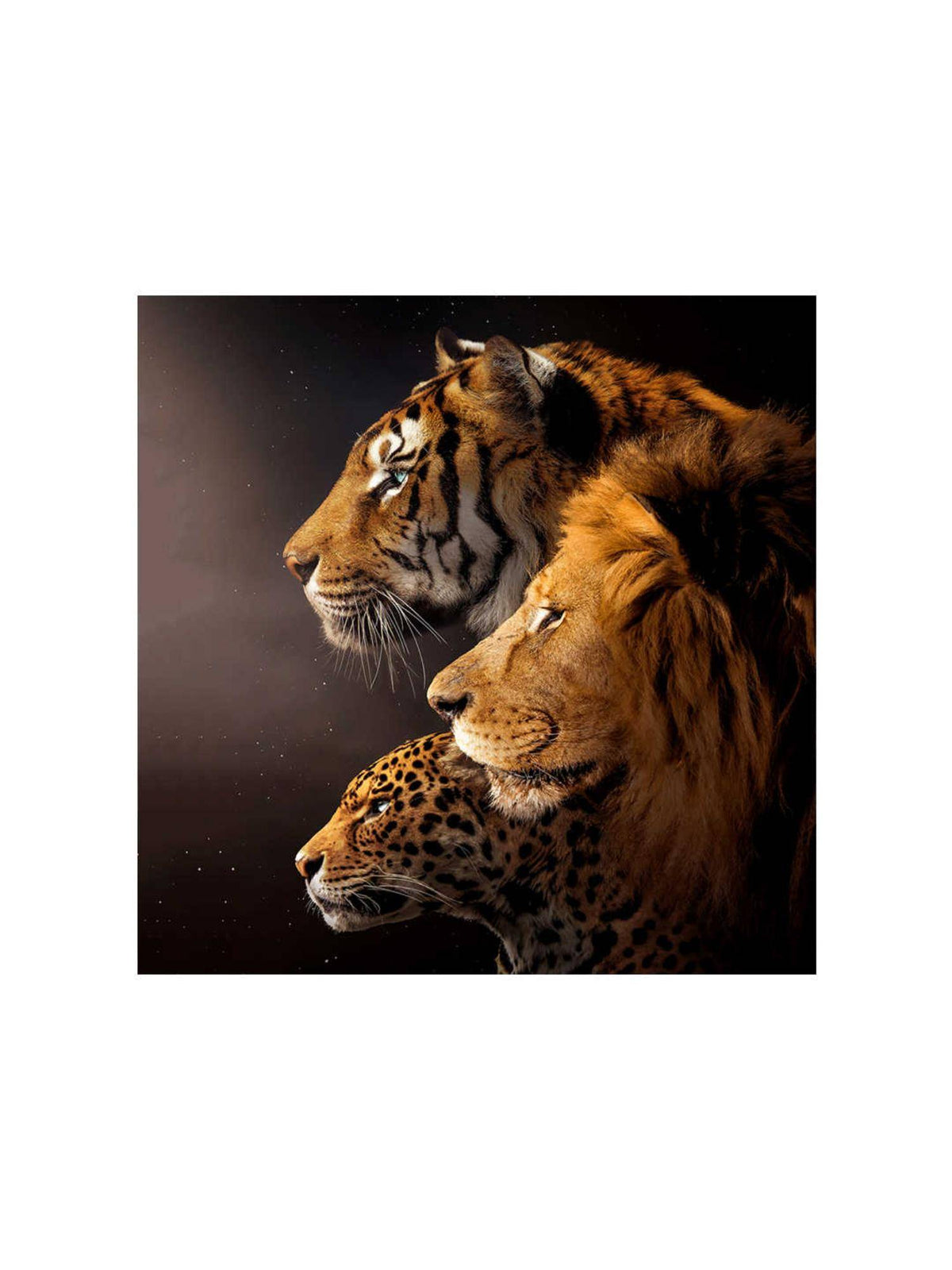 999Store Big Cats Trio Canvas-Wrapped Painting