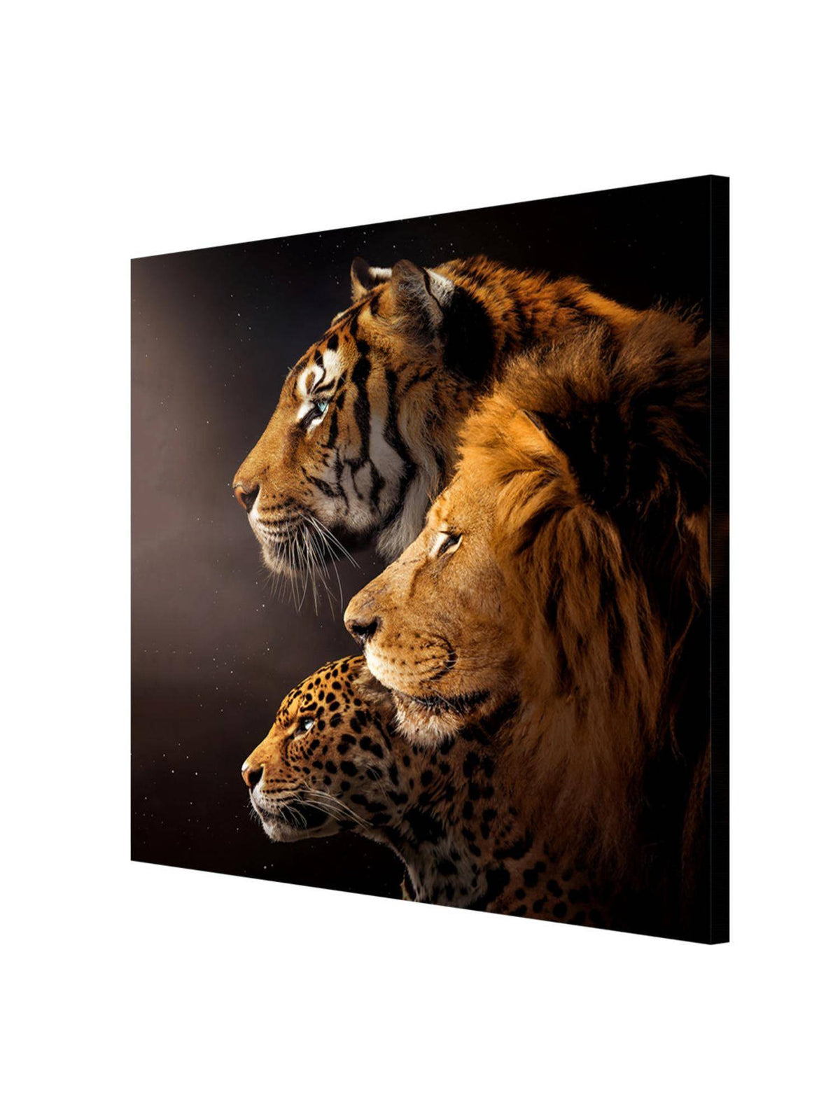 999Store Big Cats Trio Canvas-Wrapped Painting