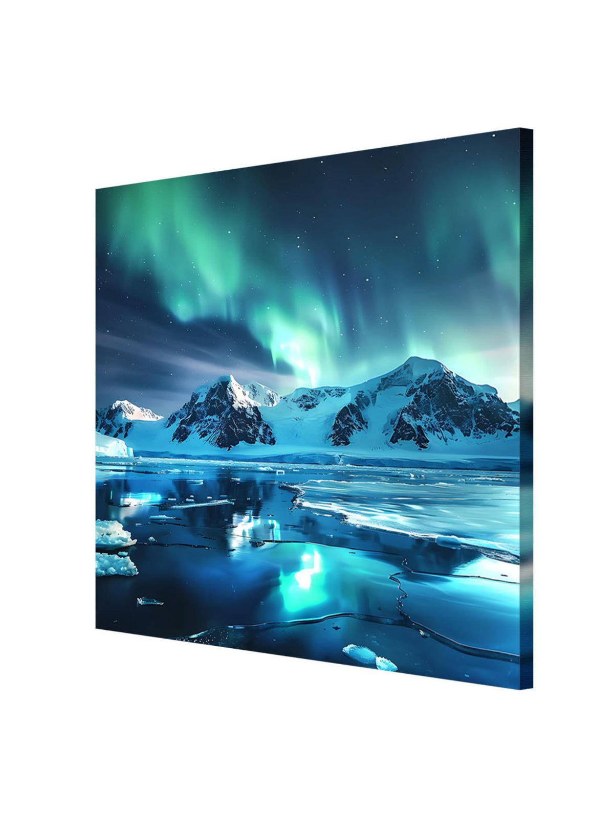 999Store Frozen Splendour Canvas-Wrapped Painting