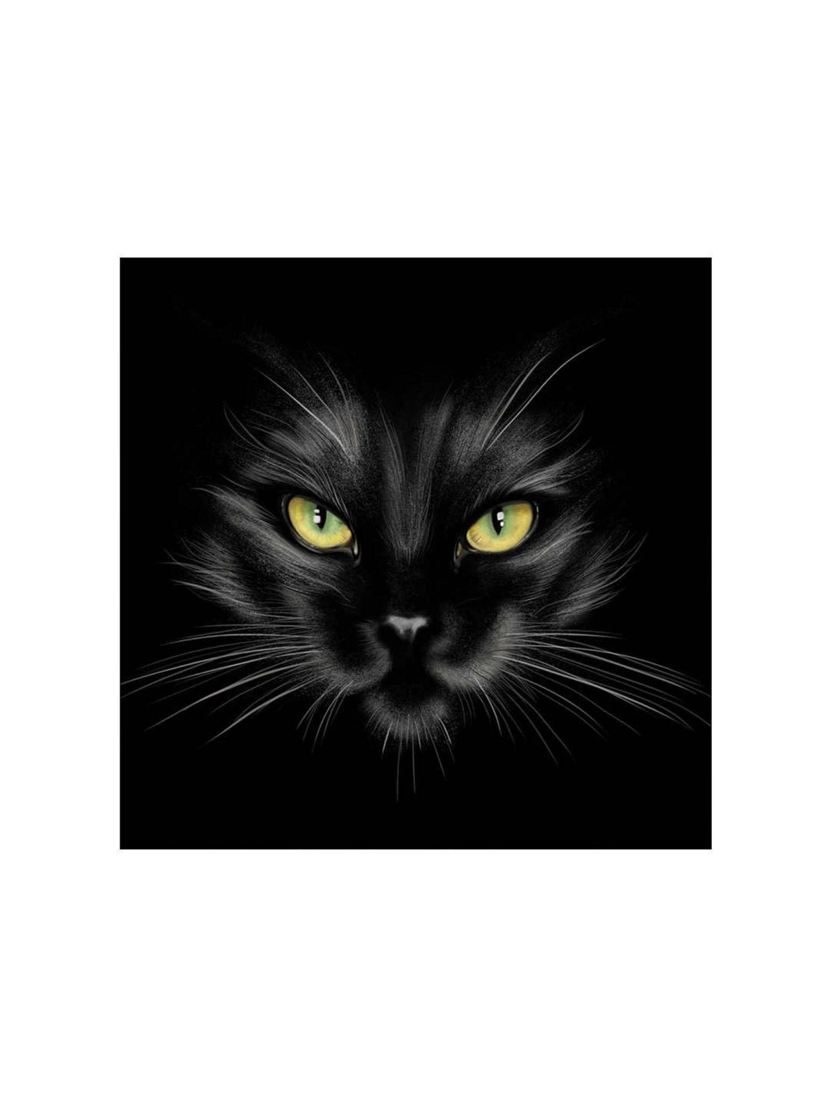 999Store Mysterious Black Cat Canvas-Wrapped Painting