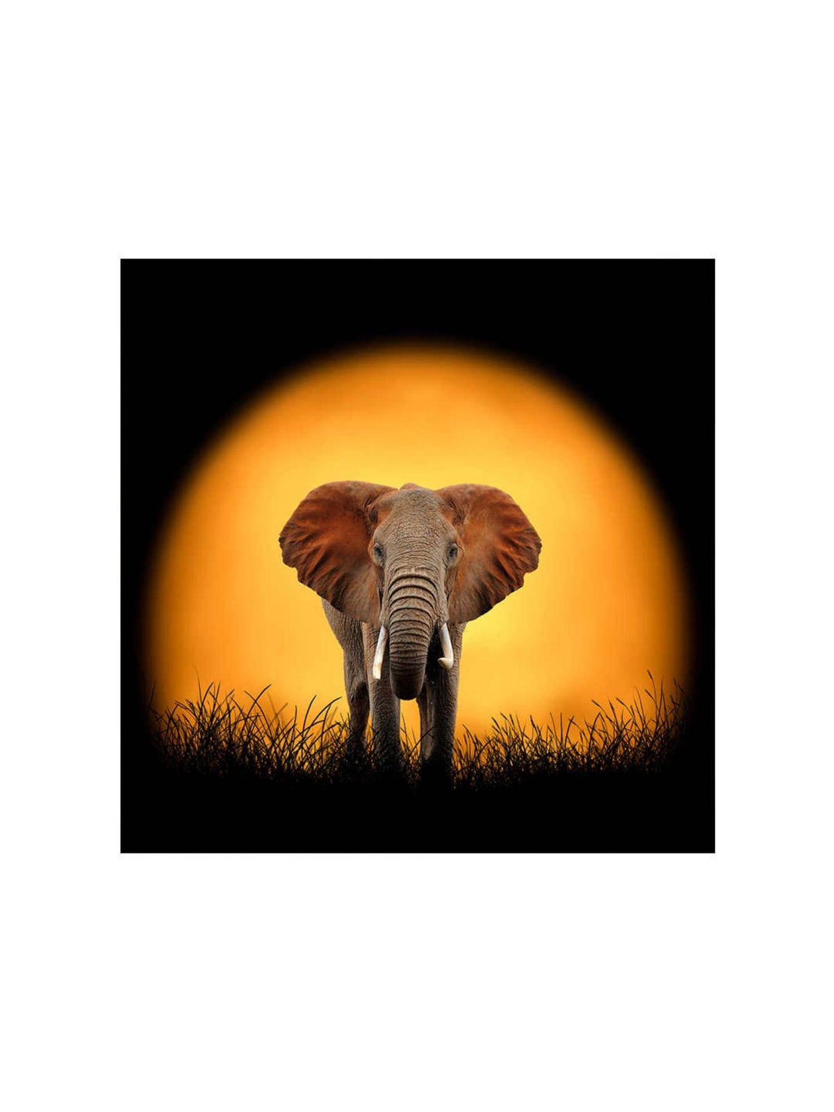999Store Sunset Elephant Canvas-Wrapped Painting