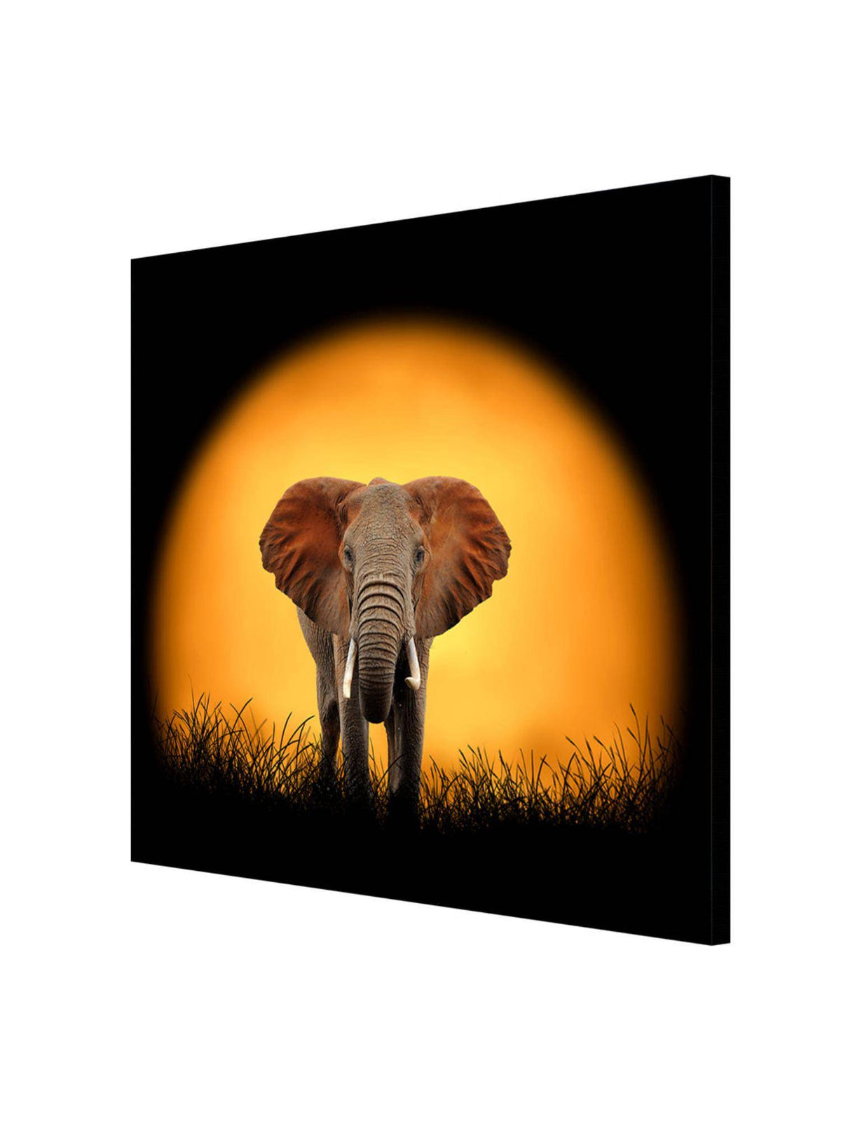 999Store Sunset Elephant Canvas-Wrapped Painting