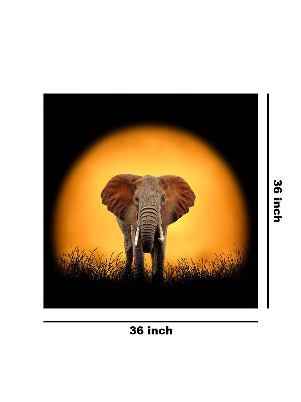 999Store Sunset Elephant Canvas-Wrapped Painting