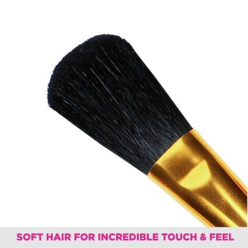 Vega Set of 5 Brushes - (RV-05)