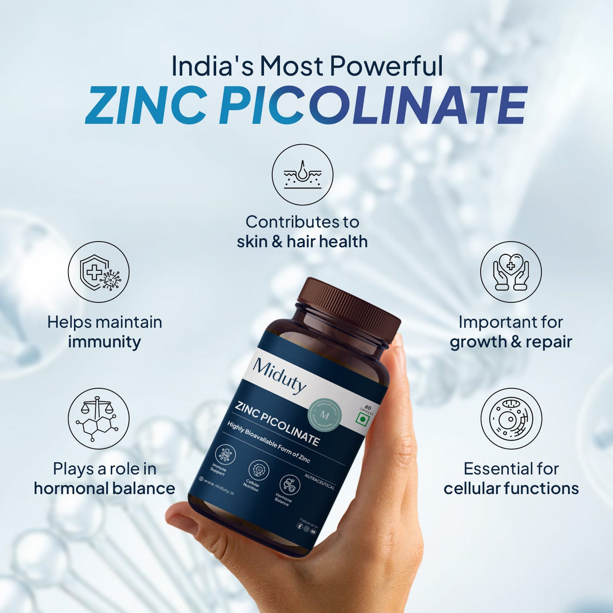 Miduty Zinc Picolinate | 50 Mg