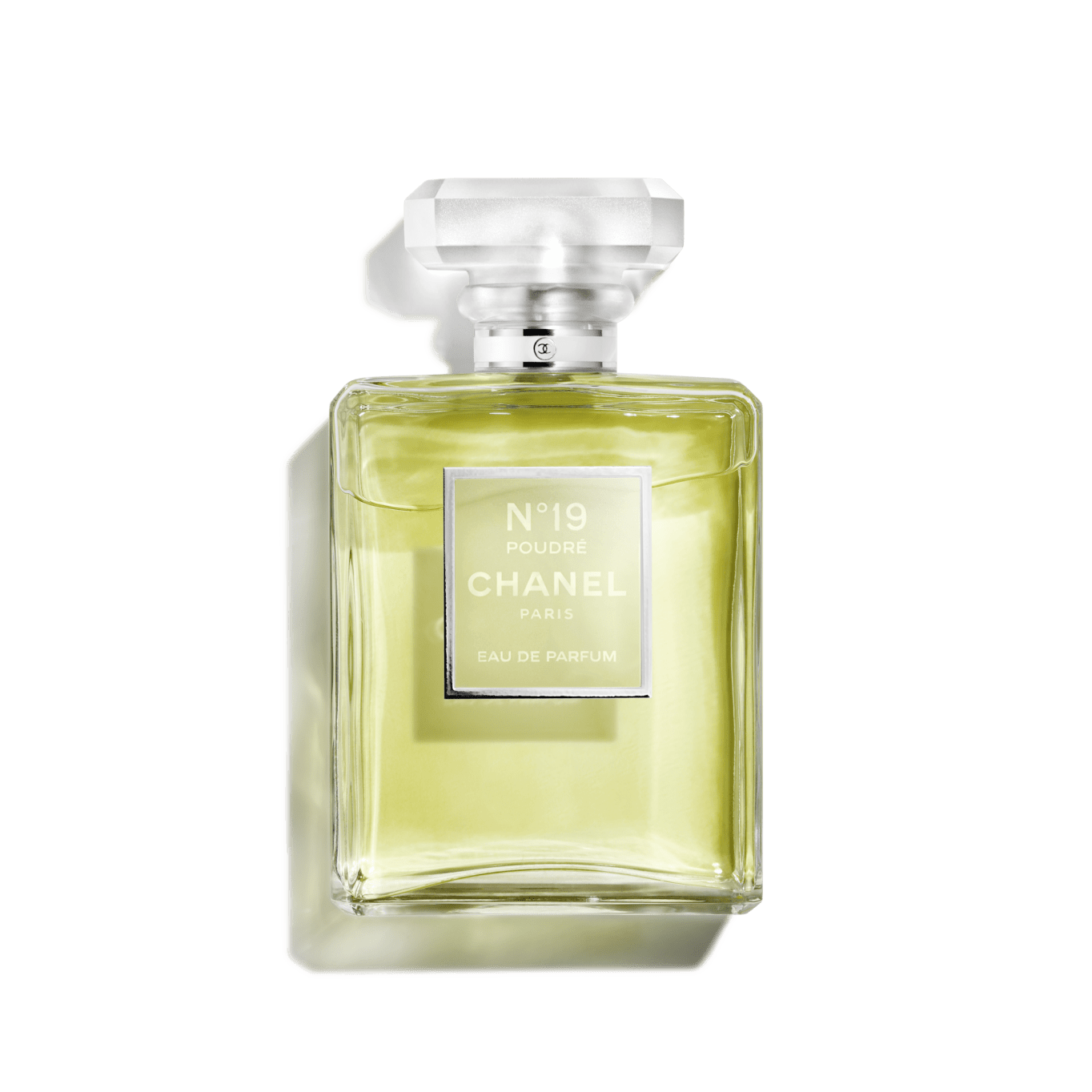 CHANEL N19 Poudre Eau de Parfum 100ml