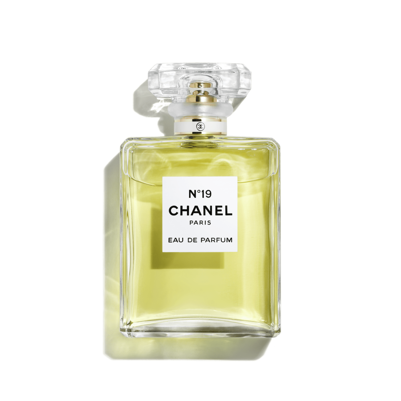 CHANEL N19 Eau de Parfum 100ml