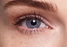 SWATI BRONZE 1-MONTH LENSES