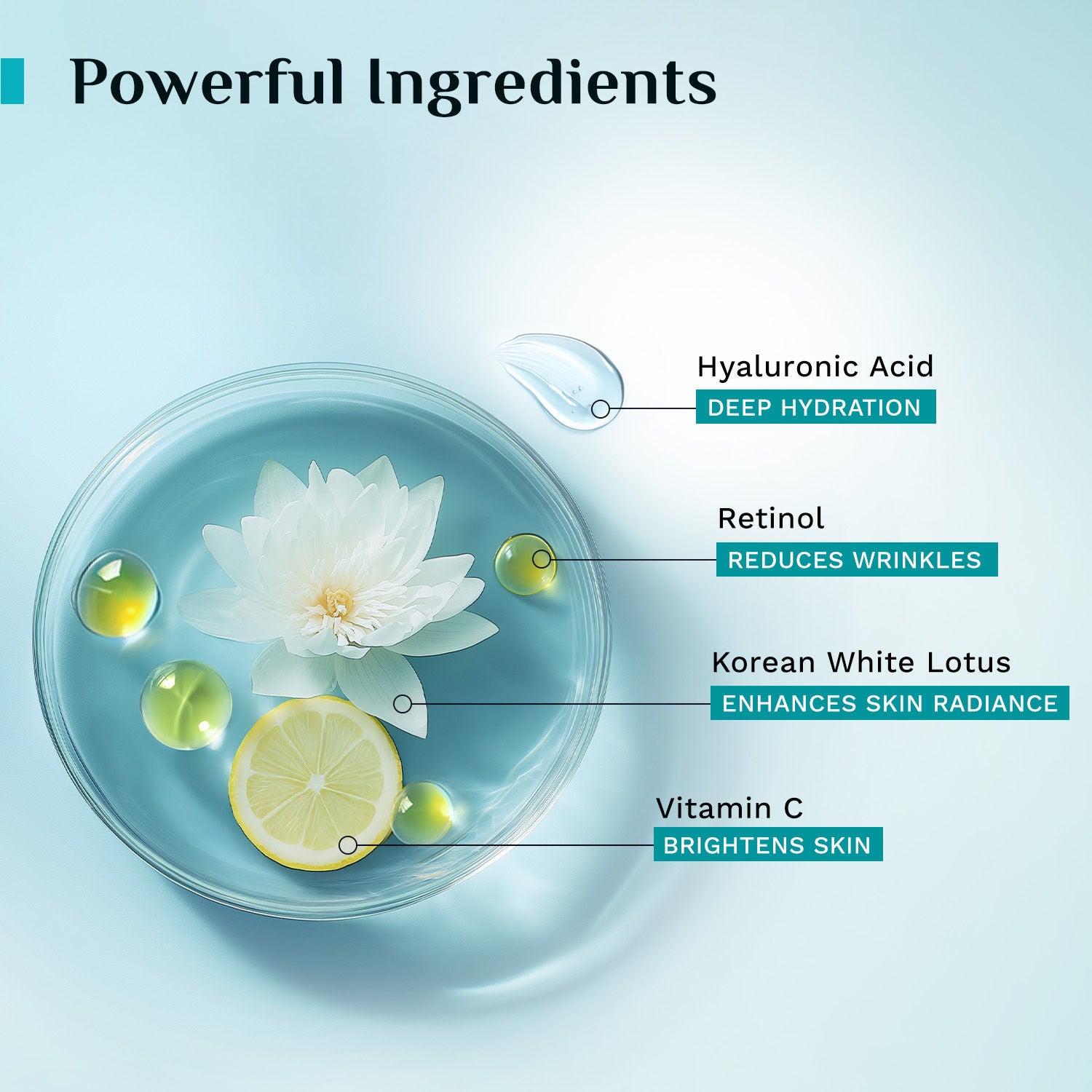 Pilgrim Korean White Lotus Retinol AntiAgeing Night Cream with HyaluronicAcid Enchance Skin Radiance (50g)