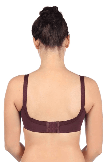 Triumph - Doreen N Three Sectioned Full Coverage Super Support Bra (Burgundy - EG - 201319) - 01N