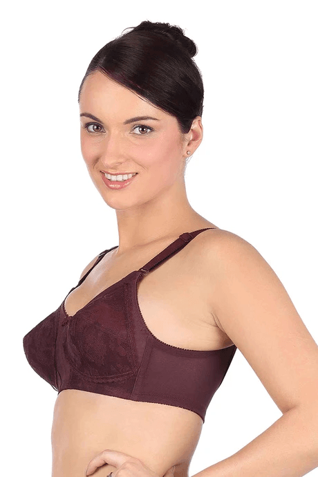 Triumph - Doreen N Three Sectioned Full Coverage Super Support Bra (Burgundy - EG - 201319) - 01N
