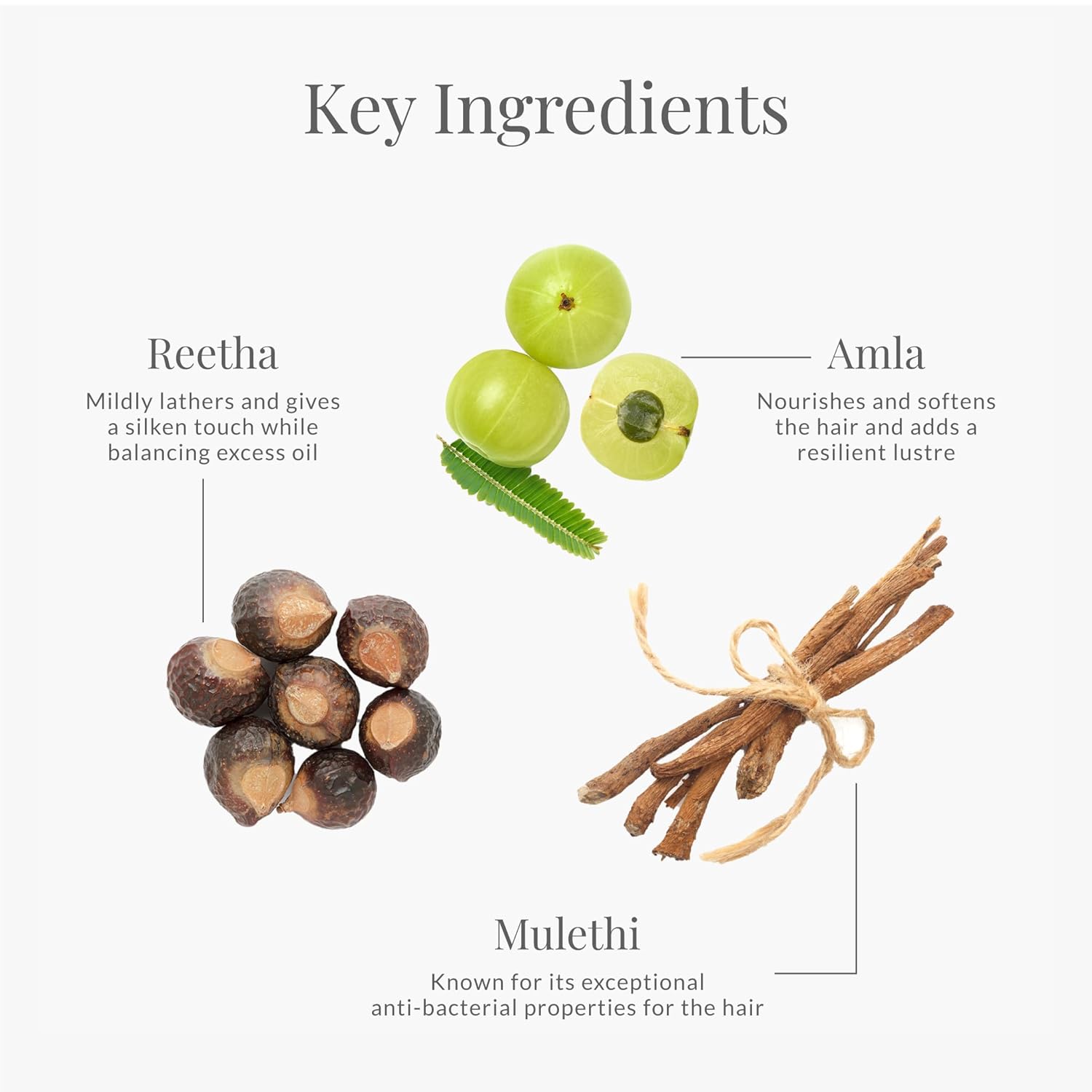 Forest Essentials Ayurvedic Shampoo Amla Honey & Mulethi | For Dull Dry Hair | Controls Hair Thinning & Breakage | Sulphate Free - BEAUTY BRATS