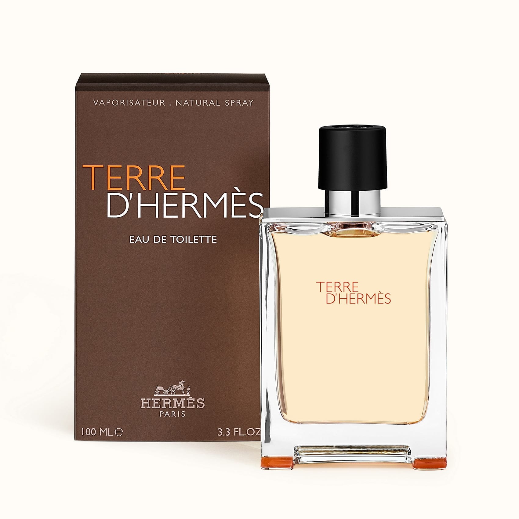 HERMES TERRE D'HERMES FOR MEN EDT (100mL) - Men - BEAUTY BRATS