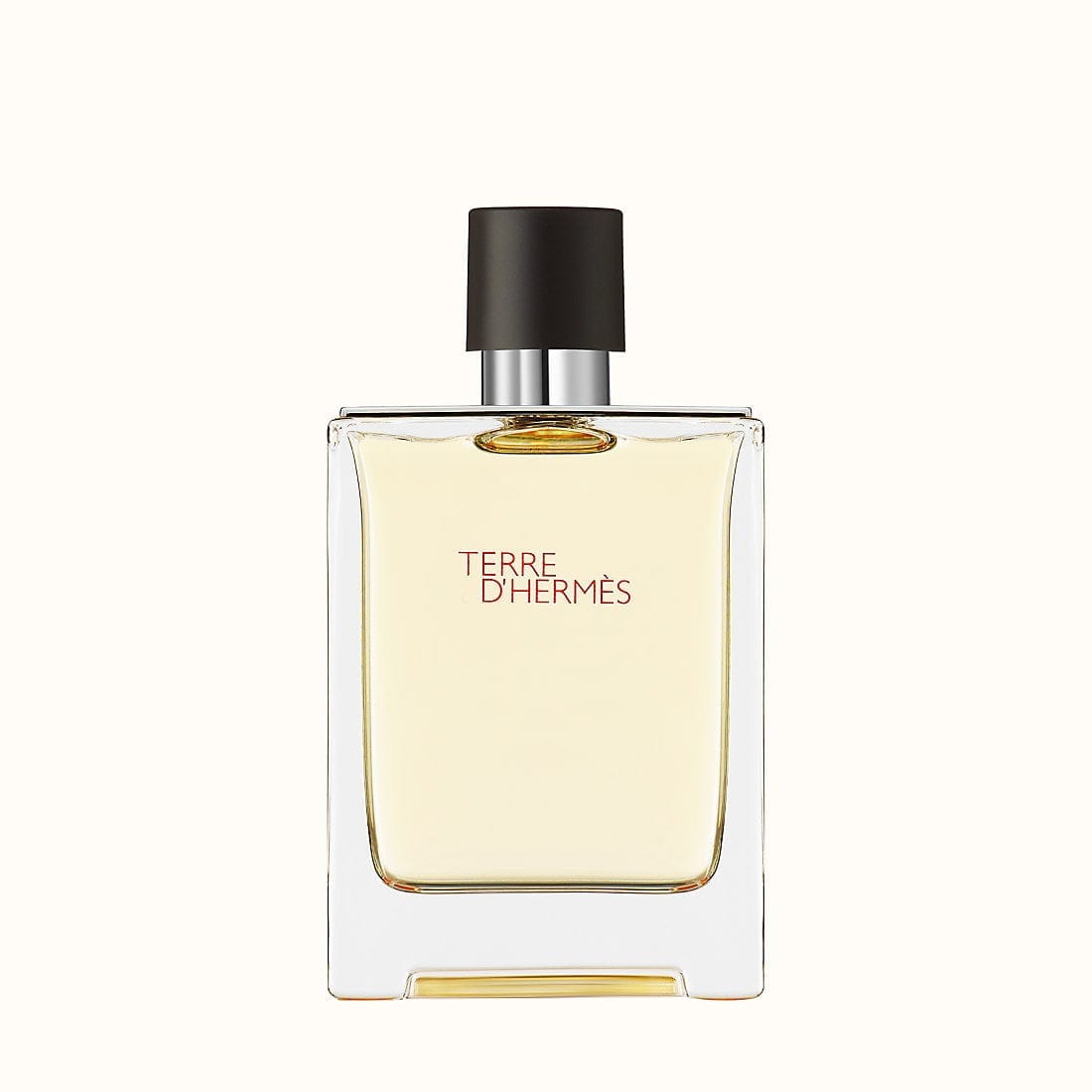 HERMES TERRE D'HERMES FOR MEN EDT (100mL) - Men - BEAUTY BRATS